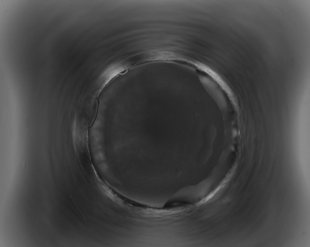 X0000085761289200703231146