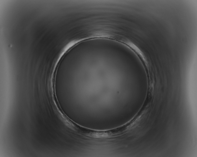 X0000085761291200703231146