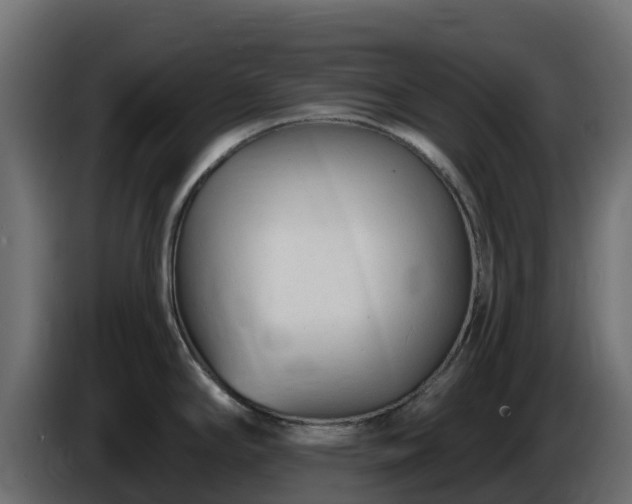 X0000085761294200703231146