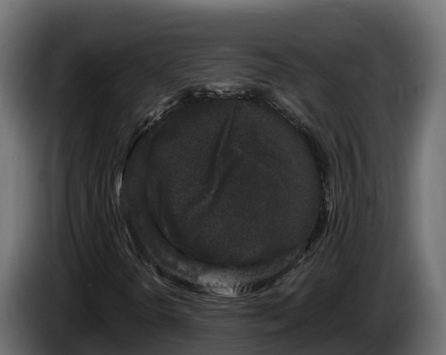 X0000085761298200703231145