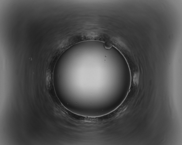 X0000085761299200703231145