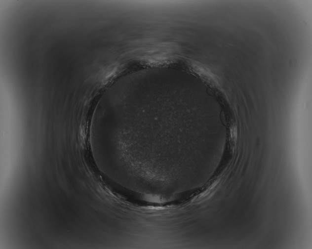 X0000085761300200703231145