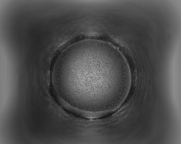X0000085761301200703231145