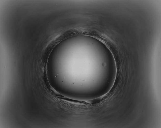 X0000085761302200703231145