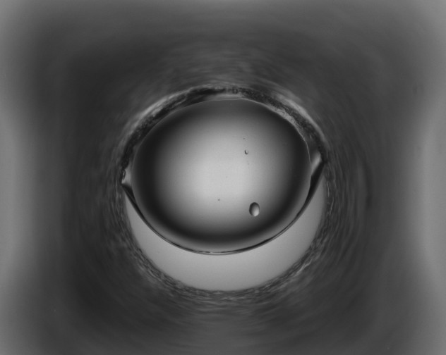 X0000085761304200703231146