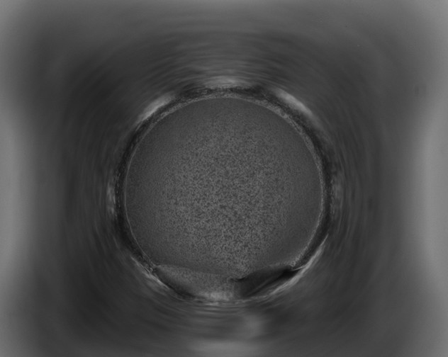 X0000085761305200703231146