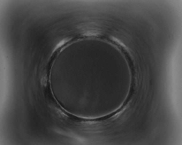 X0000085761306200703231146