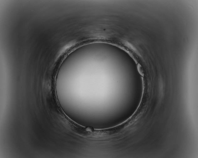 X0000085761307200703231146