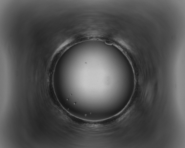 X0000085761309200703231146