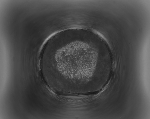 X0000085761310200703231146
