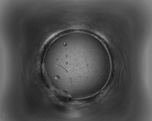 X0000085761311200703231146