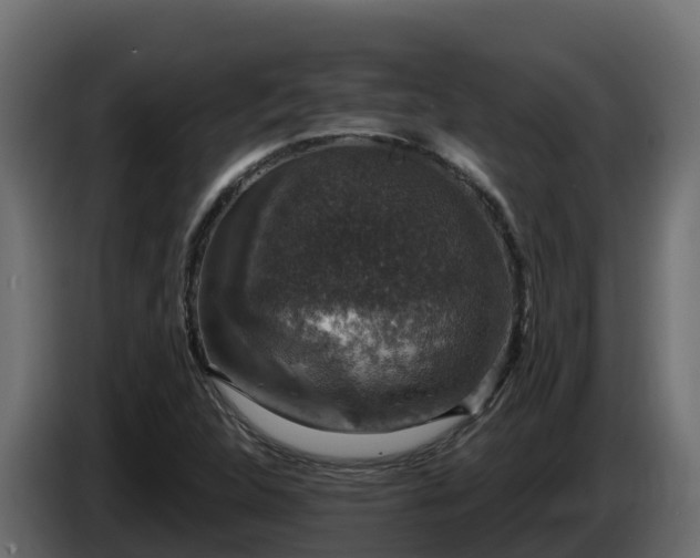 X0000085761312200703231146