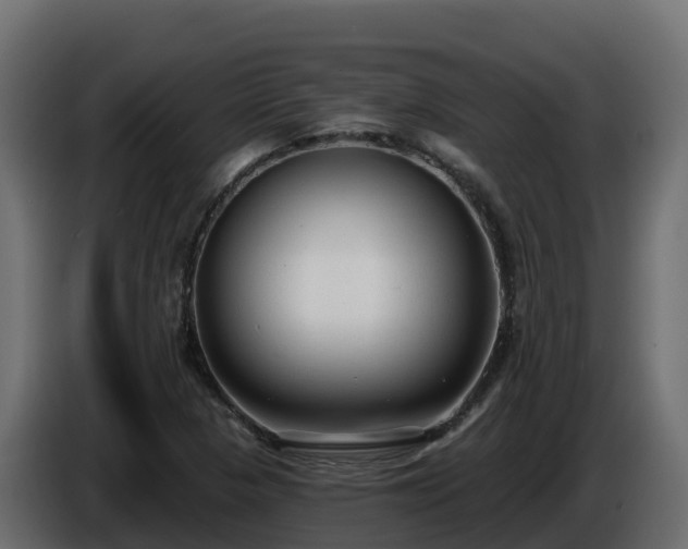 X0000085761313200703231146