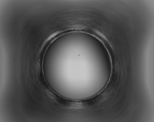 X0000085761315200703231146