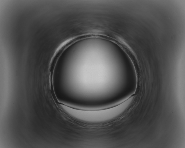 X0000085761320200703231146