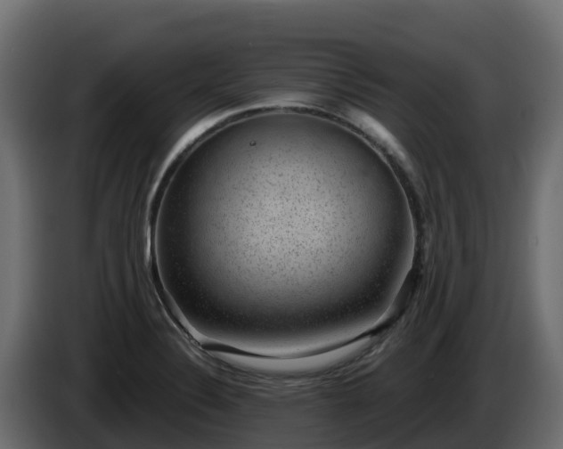 X0000085761324200703231146
