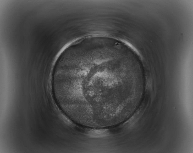 X0000085761325200703231146