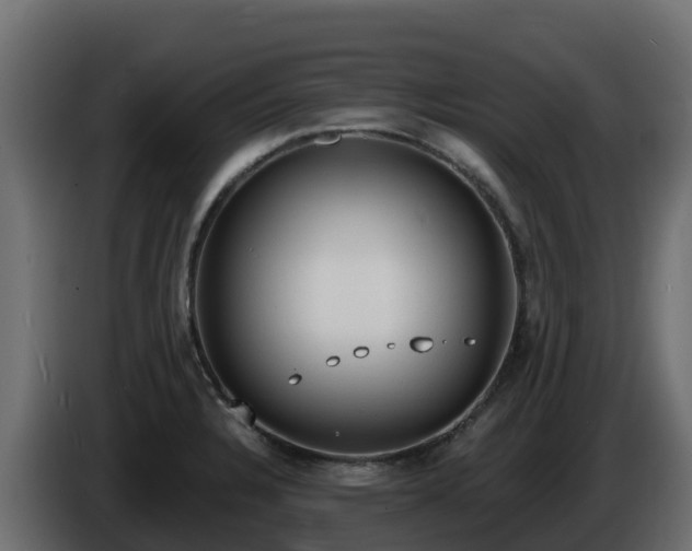 X0000085761328200703231146