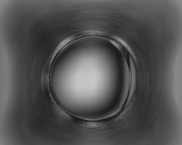 X0000085761330200703231146