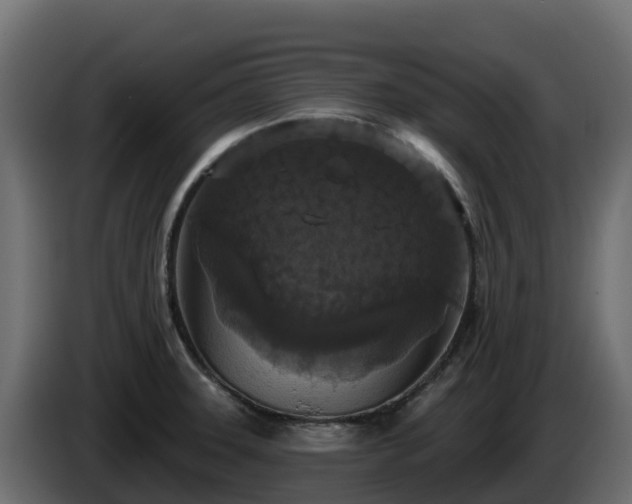 X0000085761331200703231146
