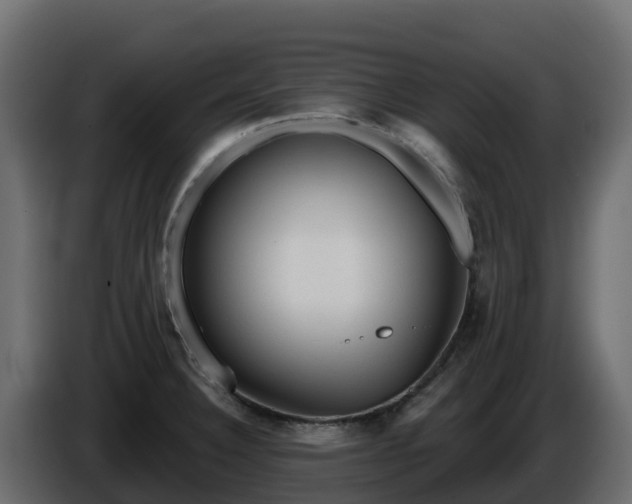 X0000085761332200703231146