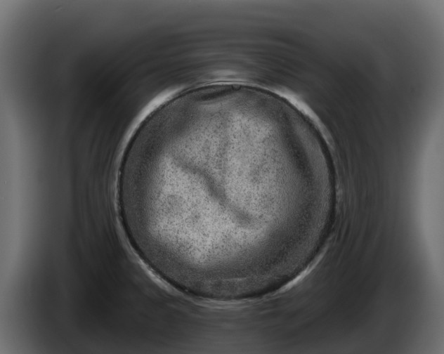 X0000085761333200703231146