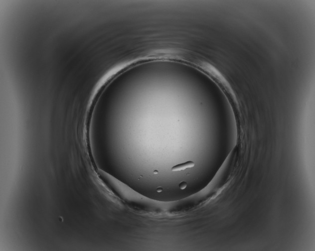 X0000085761336200703231146