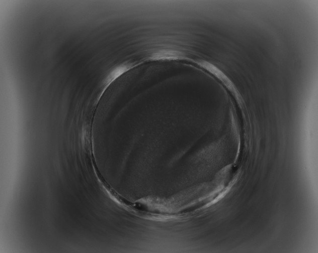 X0000085761337200703231146