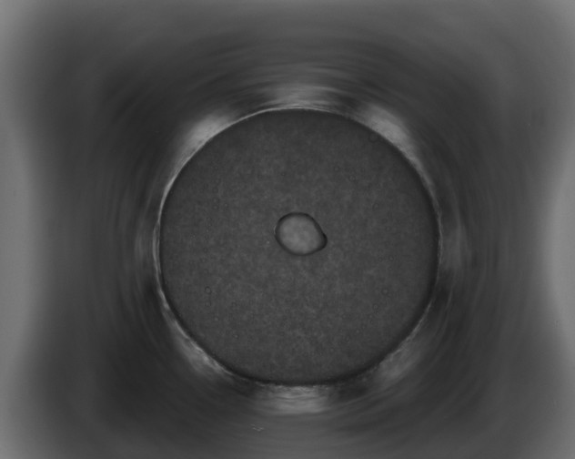 X0000085761338200703231146