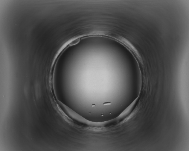 X0000085761340200703231146