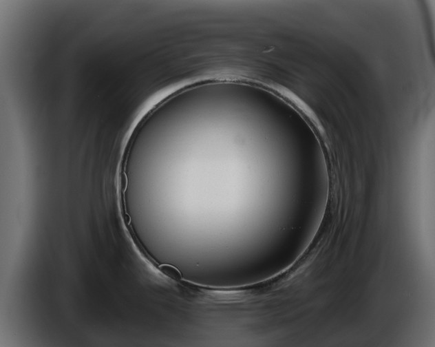 X0000085761343200703231146