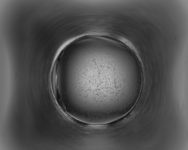 X0000085761344200703231146