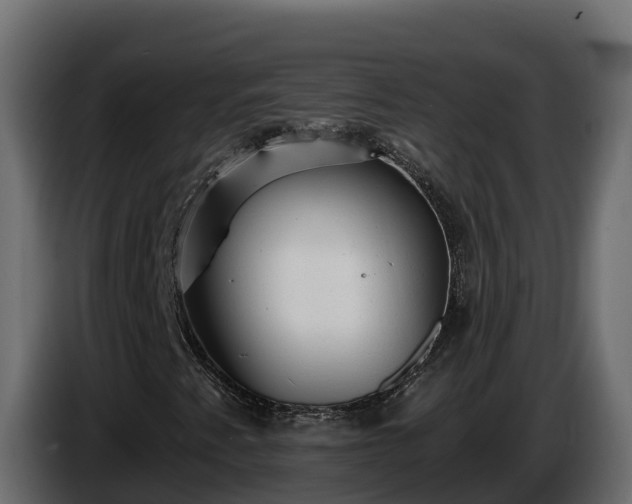 X0000085761345200703231145