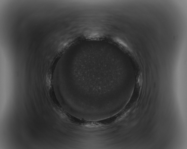 X0000085761348200703231145