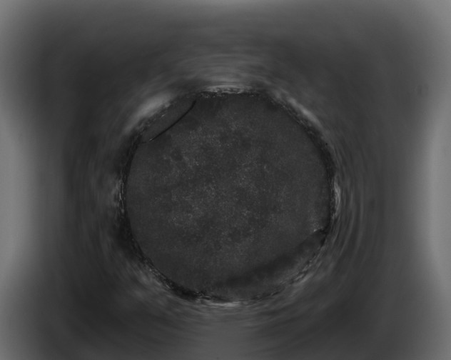 X0000085761351200703231145