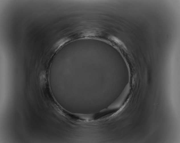 X0000085761353200703231145