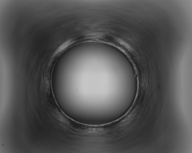 X0000085761354200703231145