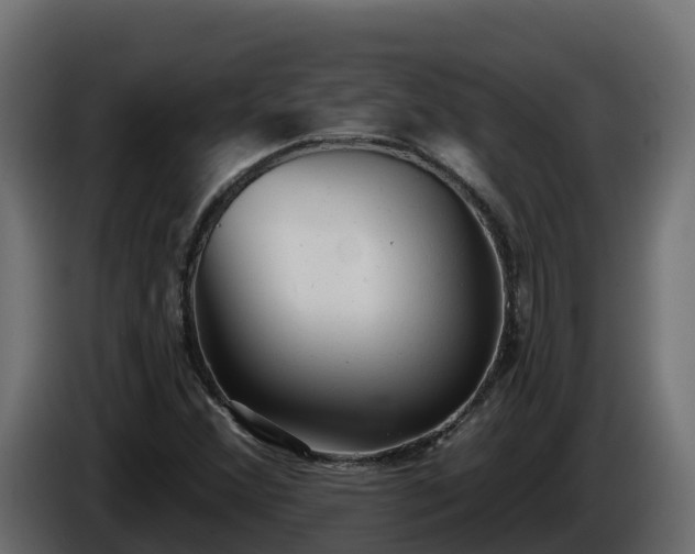 X0000085761356200703231145