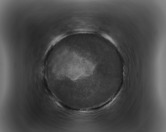 X0000085761357200703231145