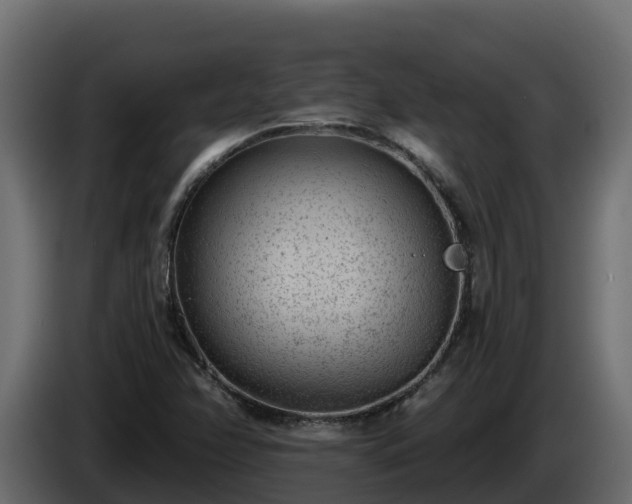 X0000085761358200703231145