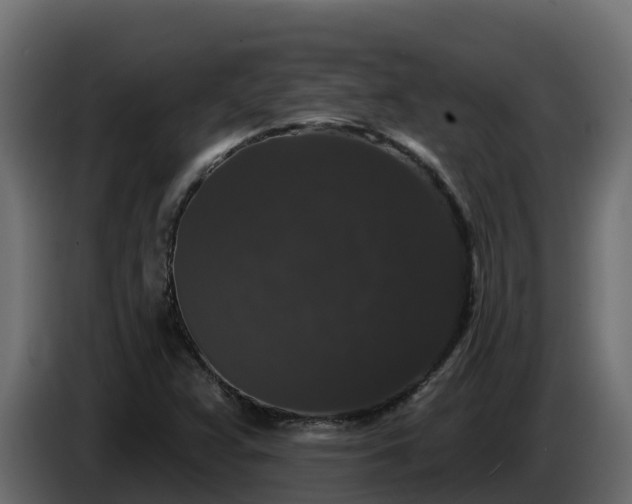 X0000085761359200703231145