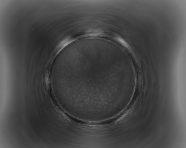 X0000085761361200703231145