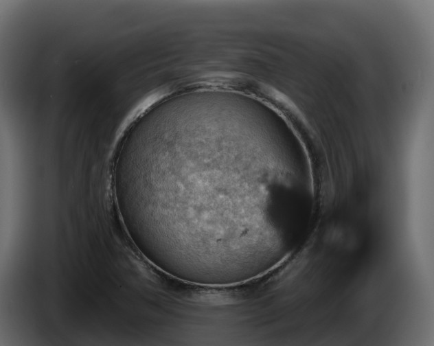 X0000085761362200703231145