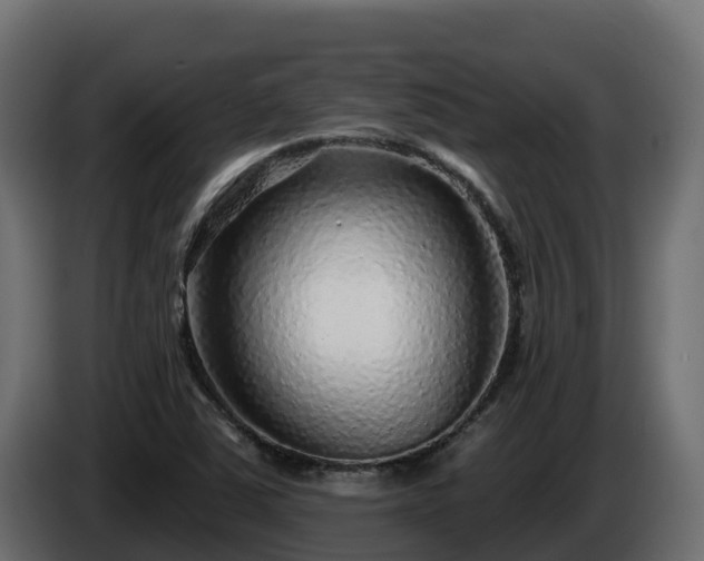 X0000085761363200703231145