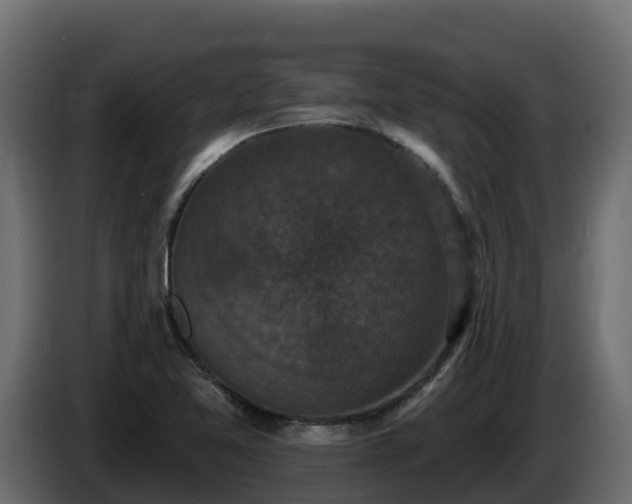 X0000085761365200703231145