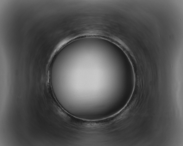 X0000085761366200703231145