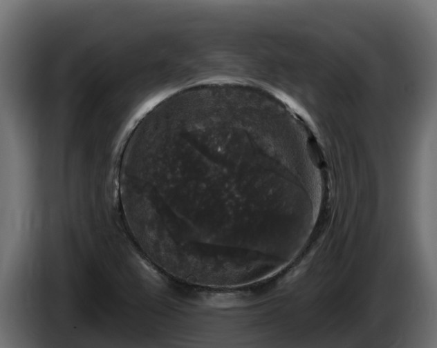 X0000085761367200703231145