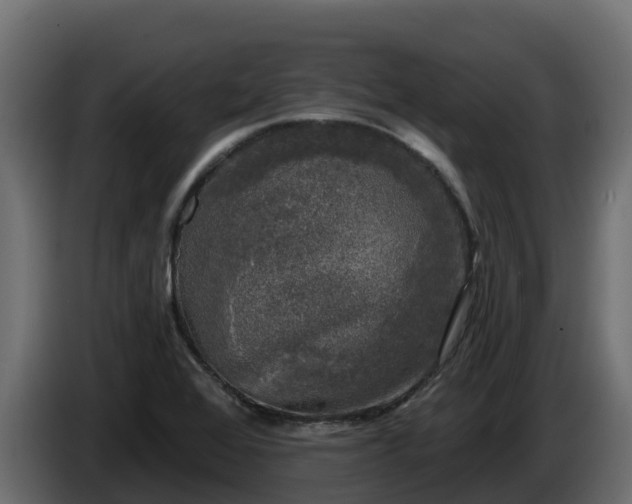 X0000085761368200703231145