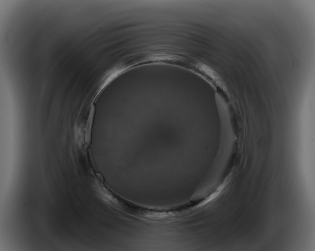 X0000085761369200703231145