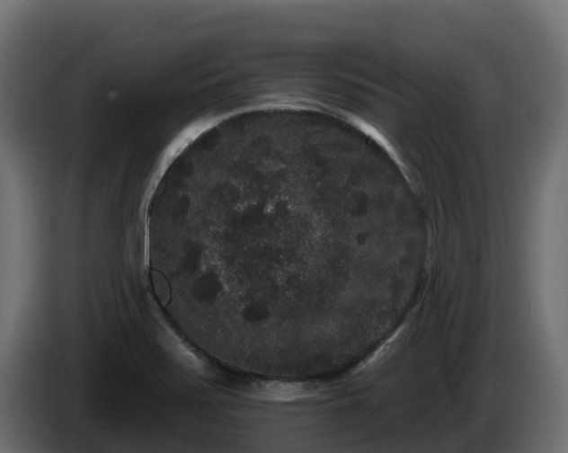 X0000085761371200703231145